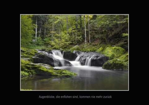 FLDE-Fotos_Augenblicke